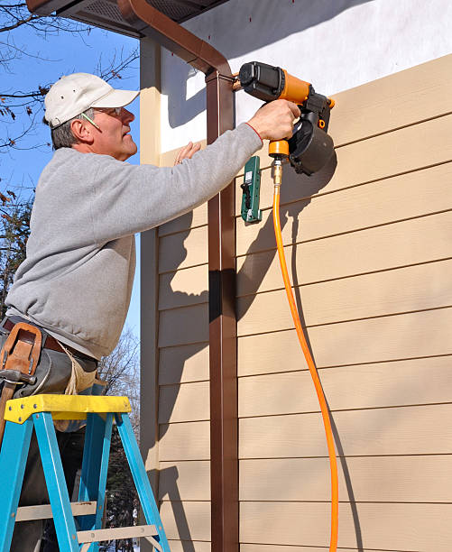 Best Custom Siding Design  in Windsor, MO